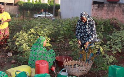 Kolo ni Fassa: How women in Bamako grow gardens, health, and autonomy together